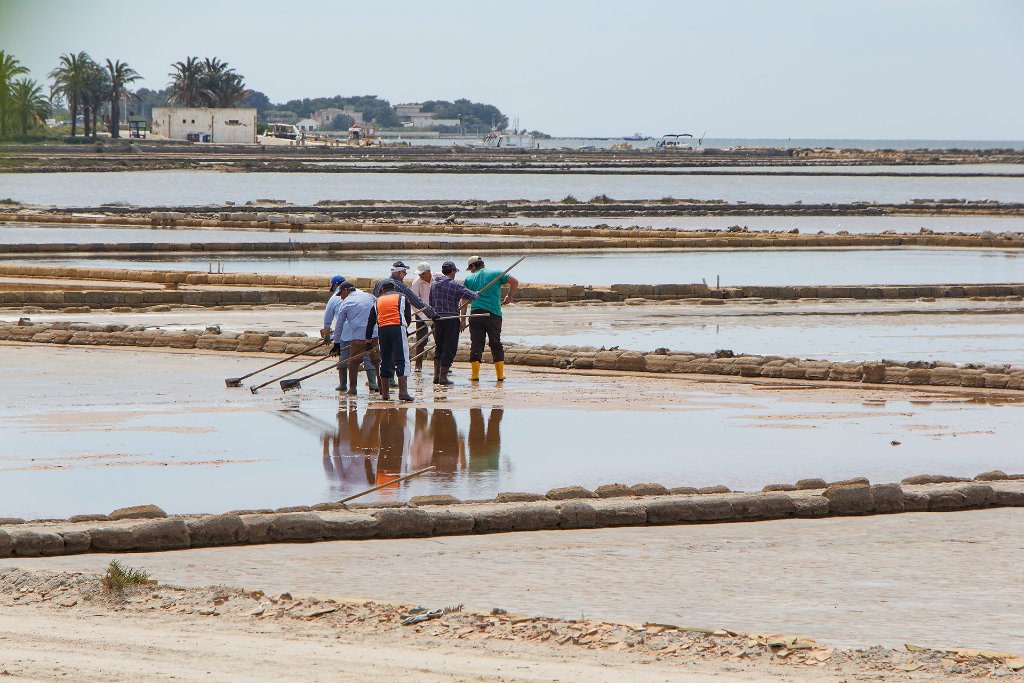 03-Workers on the saline.jpg